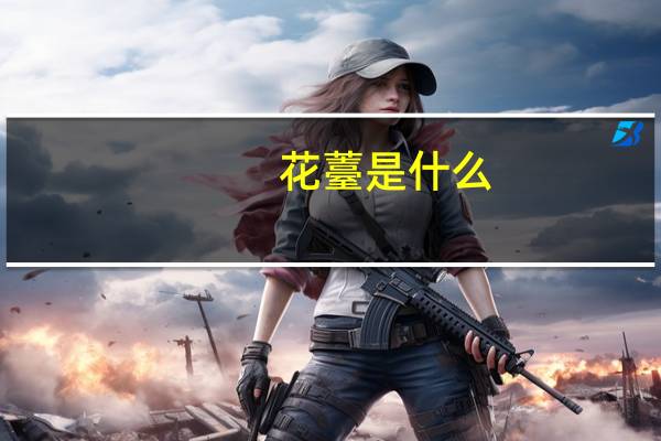 花薹是什么