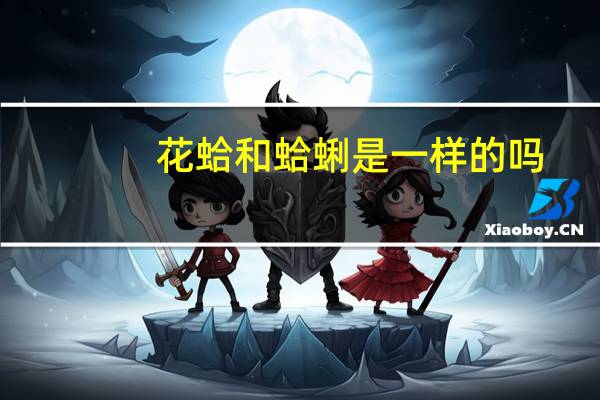 花蛤和蛤蜊是一样的吗