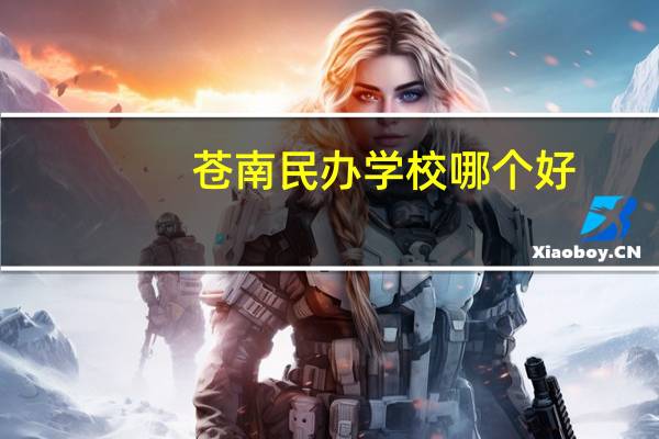 苍南民办学校哪个好