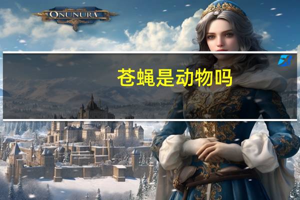 苍蝇是动物吗