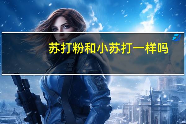 苏打粉和小苏打一样吗