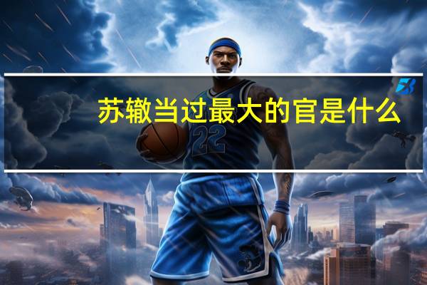 苏辙当过最大的官是什么
