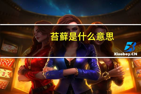 苔藓是什么意思