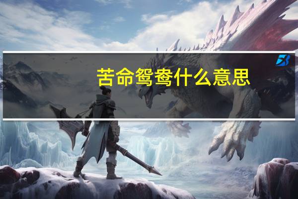 苦命鸳鸯什么意思