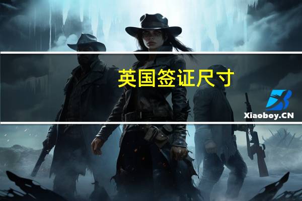 英国签证尺寸(英国签证尺寸大小)