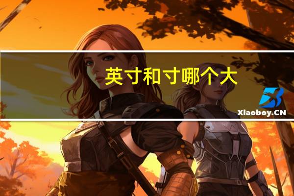 英寸和寸哪个大