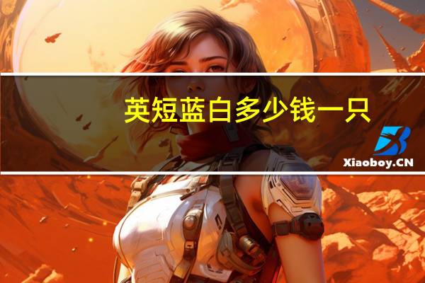 英短蓝白多少钱一只