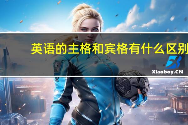 英语的主格和宾格有什么区别