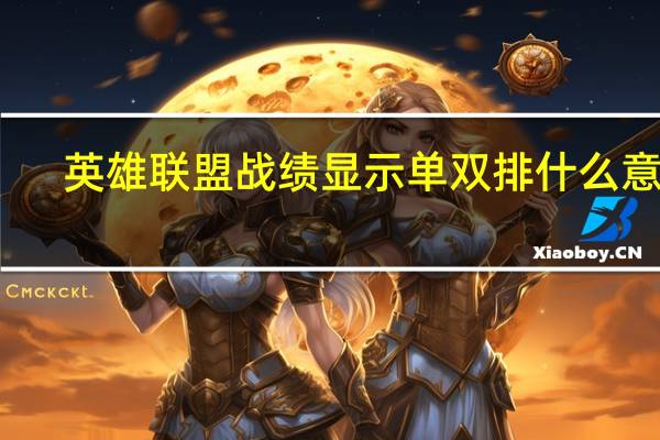 英雄联盟战绩显示单双排什么意思