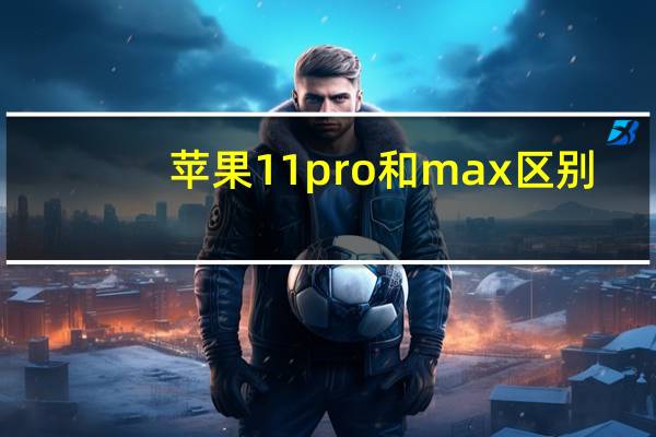 苹果11pro和max区别