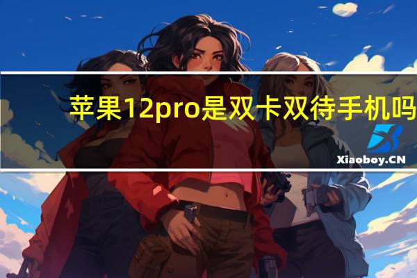 苹果12pro是双卡双待手机吗