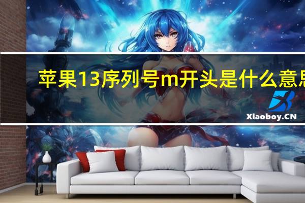 苹果13序列号m开头是什么意思