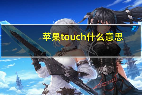 苹果touch什么意思