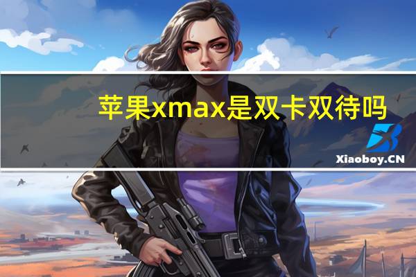 苹果xmax是双卡双待吗