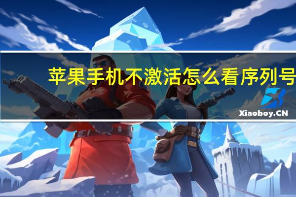 苹果手机不激活怎么看序列号