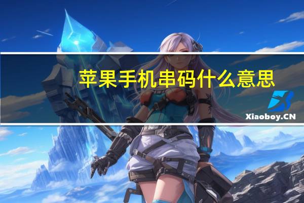 苹果手机串码什么意思