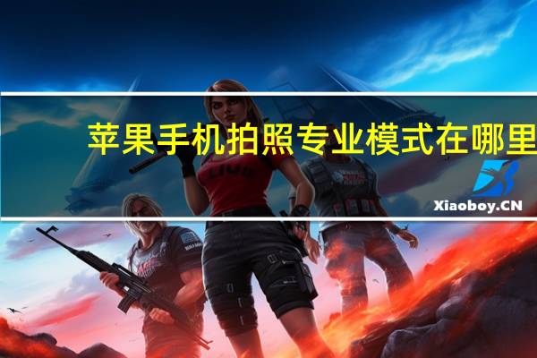 苹果手机拍照专业模式在哪里