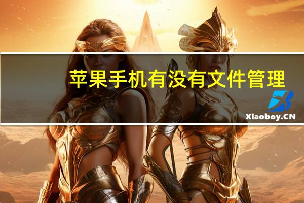 苹果手机有没有文件管理