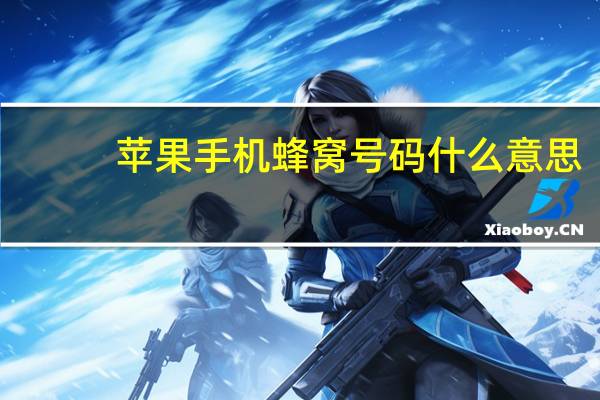 苹果手机蜂窝号码什么意思