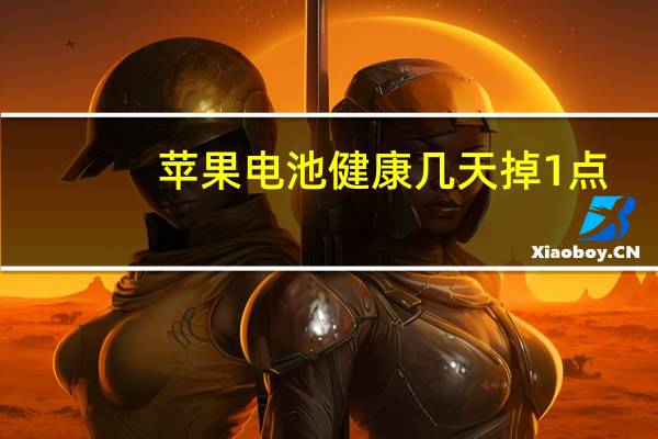 苹果电池健康几天掉1点