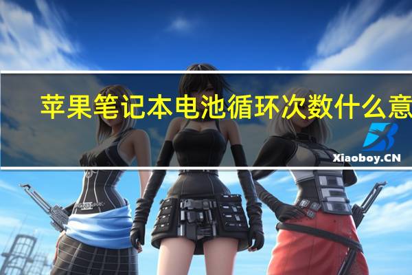 苹果笔记本电池循环次数什么意思