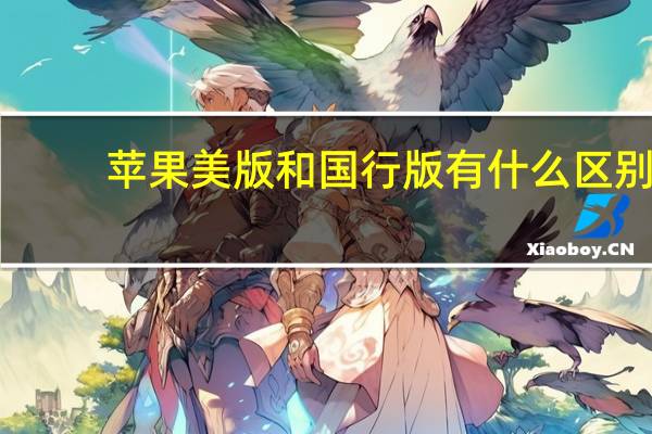 苹果美版和国行版有什么区别