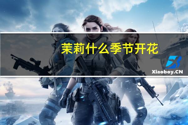 茉莉什么季节开花