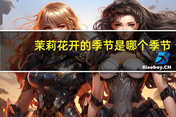 茉莉花开的季节是哪个季节
