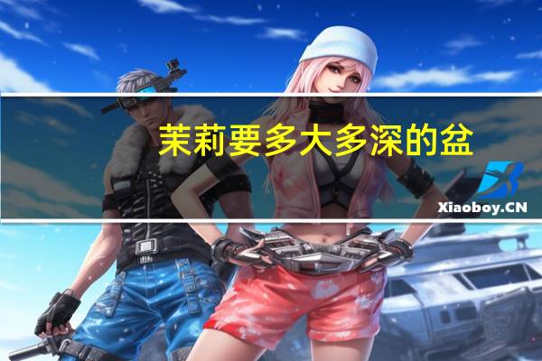 茉莉要多大多深的盆