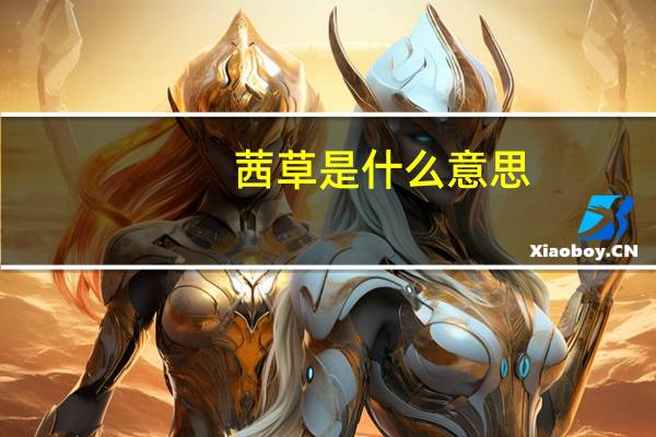 茜草是什么意思