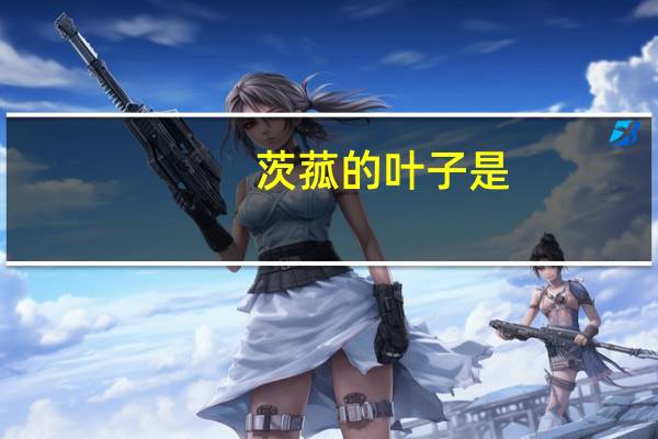 茨菰的叶子是