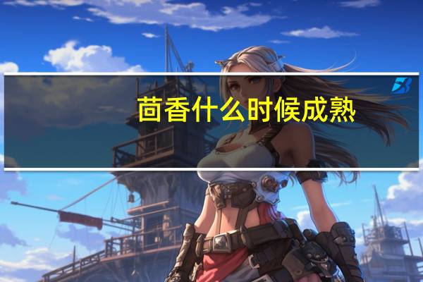 茴香什么时候成熟
