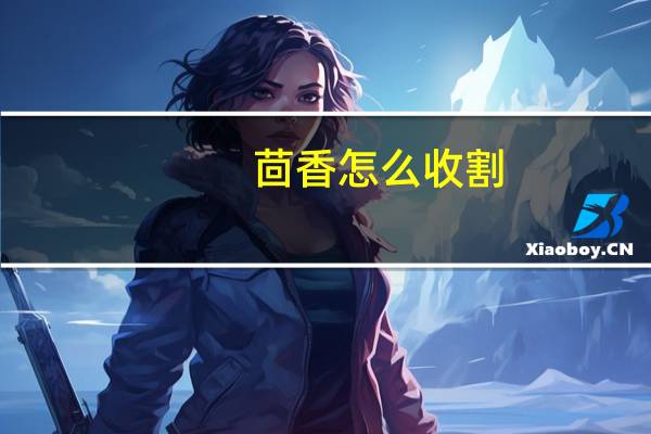 茴香怎么收割