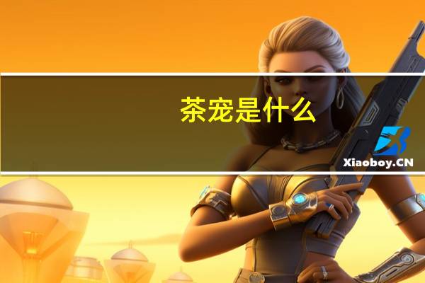 茶宠是什么