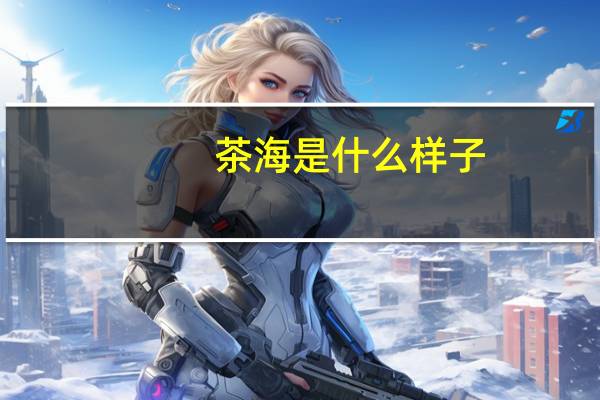 茶海是什么样子
