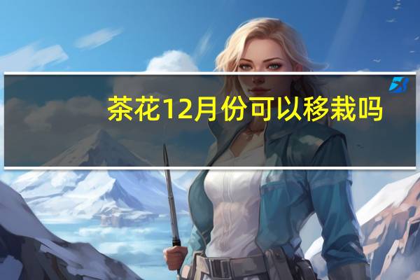 茶花12月份可以移栽吗
