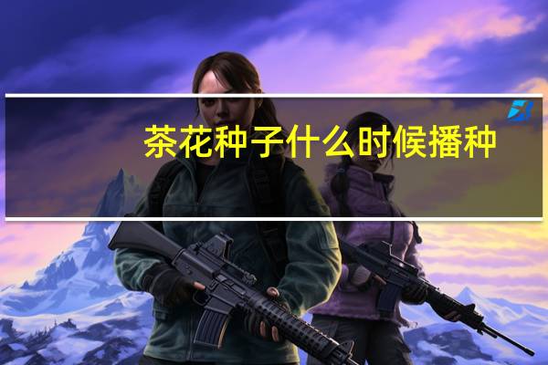 茶花种子什么时候播种
