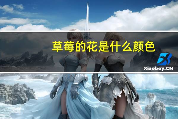 草莓的花是什么颜色