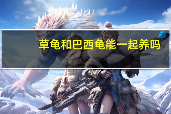 草龟和巴西龟能一起养吗