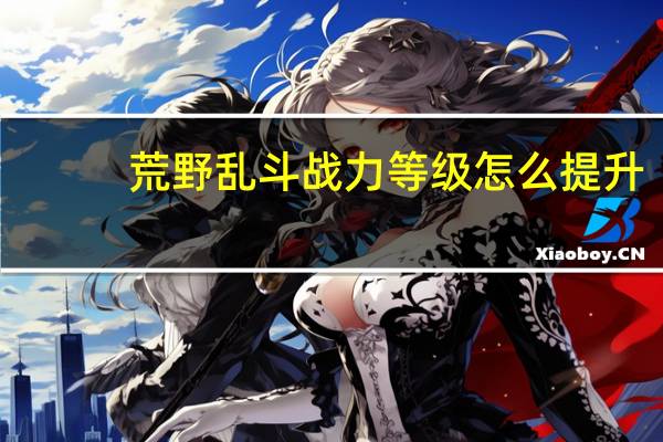 荒野乱斗战力等级怎么提升
