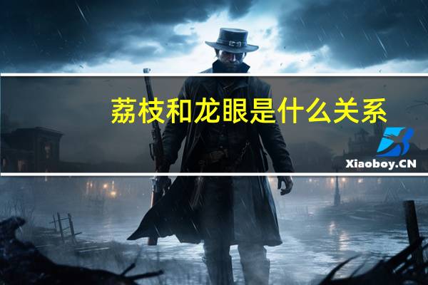 荔枝和龙眼是什么关系