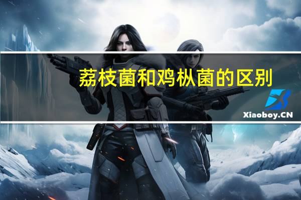 荔枝菌和鸡枞菌的区别