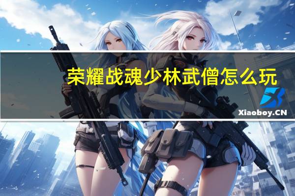 荣耀战魂少林武僧怎么玩