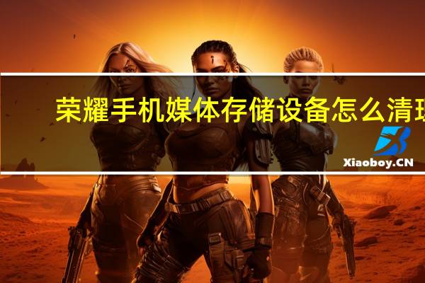 荣耀手机媒体存储设备怎么清理
