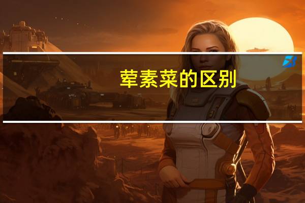 荤素菜的区别