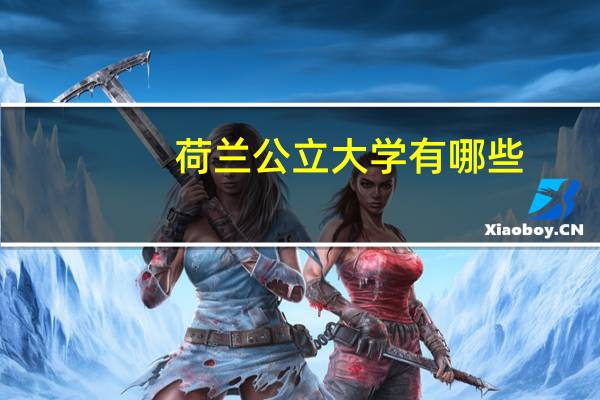 荷兰公立大学有哪些