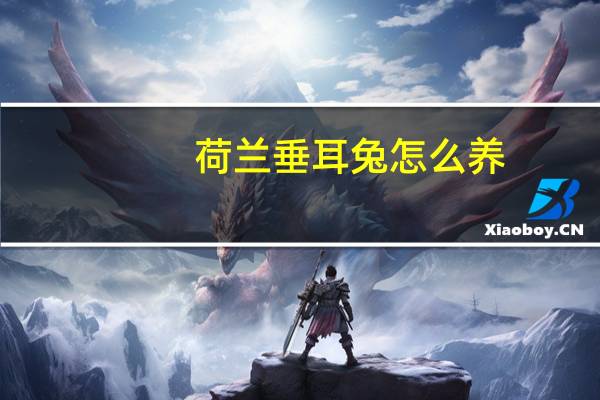 荷兰垂耳兔怎么养