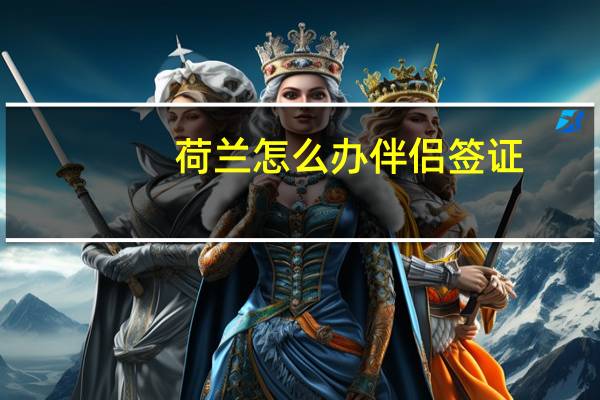 荷兰怎么办伴侣签证