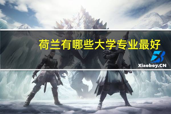 荷兰有哪些大学专业最好