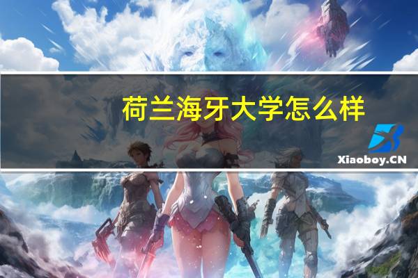 荷兰海牙大学怎么样
